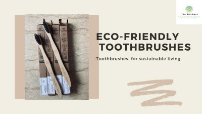 The Bio-Nest Bamboo Toothbrush