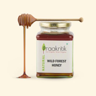 Praakritik Organic Wild Forest Honey-500 ml