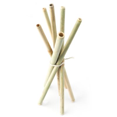 Goli-Soda-offer - Bamboo Straws - Set of 6 - Eco-friendly / Washable / Reusable	